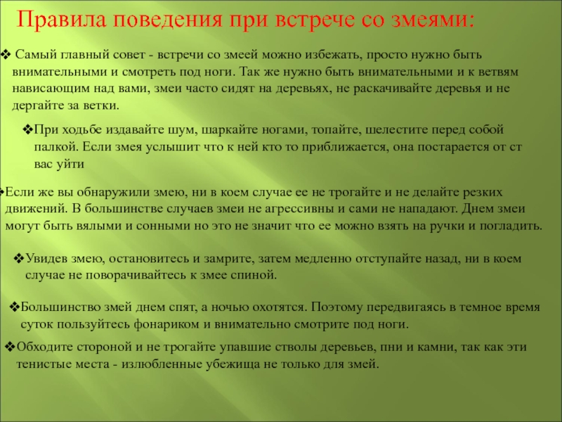 1c89cbe2b8a601be20ad09d2c0da785e-800x.jpg