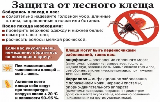 93cd3e8436f15c19d6928f6bcc4d5347-550x353.jpg