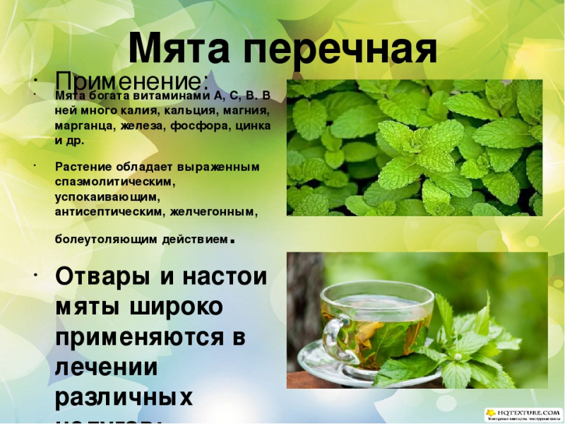 ff72b3b3f7dc834718540a4abfafa02b.jpg