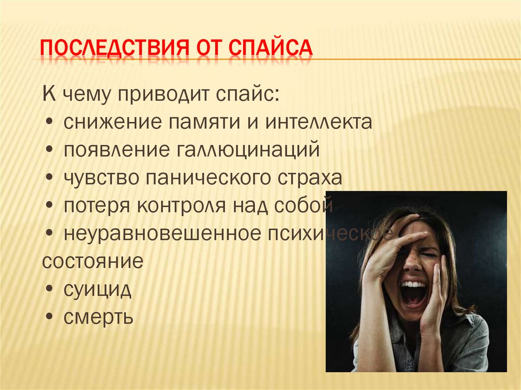 slide-19.jpg