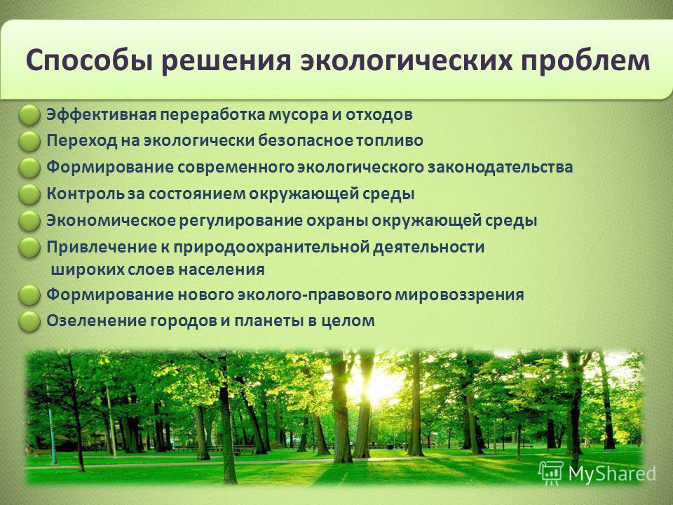 slide_10.jpg